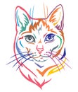 Colorful decorative portrait of Mongrel Cat vector illustration