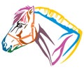 Colorful decorative portrait of Norwegian fjord pony vector illustration