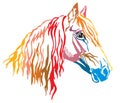 Colorful decorative portrait of Orlov Trotter horse vector illus