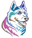 Colorful decorative portrait of Dog Siberian Husky vector illustration Royalty Free Stock Photo