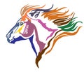Colorful decorative portrait of pony vector illustration Royalty Free Stock Photo