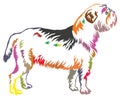 Colorful decorative standing portrait of dog Griffon Belge Royalty Free Stock Photo