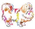 Colorful decorative standing portrait of dog Pekingese vector