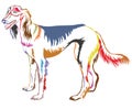 Colorful decorative standing portrait of Persian Greyhound