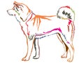 Colorful decorative standing portrait of Akita Inu