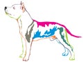 Colorful decorative standing portrait of American Staffordshire