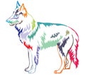 Colorful decorative standing portrait of Belgian Shepherd vector