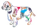 Colorful decorative standing portrait of English Springer Spaniel