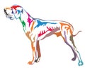 Colorful decorative standing portrait of Great Dane vector illus