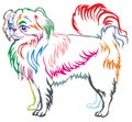 Colorful decorative standing portrait of Japanese Chin