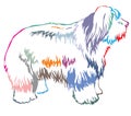 Colorful Decorative Standing Portrait Of Old English Sheepdog Vector Illustration