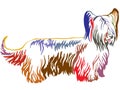 Colorful decorative standing portrait of Skye Terrier vector ill