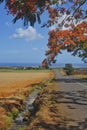 Colorful desert road at Bambous in rural Mauritius, with water flowing down canal at road side of harvested sugar cane field Royalty Free Stock Photo