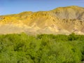 Desert mountains behind treeline
