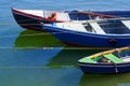 Fishing boats anchored over a clean water surface Royalty Free Stock Photo