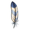 Colorful detailed beige and blue bird feather, isolated on white background. Vector illustration.