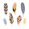 Colorful detailed bird feathers set. Hand drawn editable elements, realistic style, vector illustration. Royalty Free Stock Photo