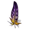 Colorful detailed purple and yellow bird feather, isolated on white background. Vector illustration.