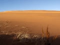 Colorful details, sand dune Royalty Free Stock Photo