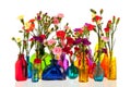 Dianthus flowers in bottles