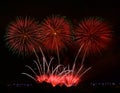 Colorful different colors, amazing fireworks in Malta, dark sky background and house light in the far, Independence day, fireworks Royalty Free Stock Photo