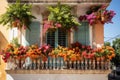 Colorful different flowers in pots on balcony or terrace, bright balcony with flowers Royalty Free Stock Photo