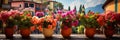 Colorful different flowers in pots on balcony or terrace, bright balcony with flowers, banner Royalty Free Stock Photo