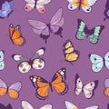 Colorful different summer butterfly wings seamless pattern vector illustration background.