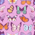 Colorful different summer butterfly wings seamless pattern vector illustration background. Royalty Free Stock Photo