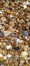 colorful, different types of stones and shells on the beach Royalty Free Stock Photo