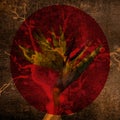 Colorful digital collage background flower and tree element and different textures