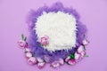 Colorful digital floral background for newborn photography