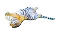 Colorful Watercolor  painting of a playful tiger Royalty Free Stock Photo