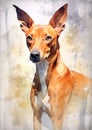 A colorful, digital watercolour painting, showing the portrait of a Cirneco dell Etna dog