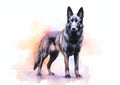 A colorful, digital watercolour painting, showing a standing black colored German Shepherd dog or or Alsatian.