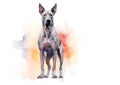 A colorful, digital watercolour painting, showing the a Thai ridgeback dog. Royalty Free Stock Photo