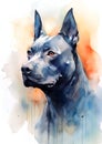 A colorful, digital watercolour painting, showing the a Thai ridgeback dog. Royalty Free Stock Photo