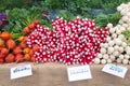 Colorful display of fresh homegrown French breakfast radishes, golden beets, hakurei turnips at a local farmer\'s market Royalty Free Stock Photo