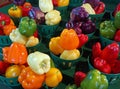 Colorful display of fresh picked bell peppers Royalty Free Stock Photo