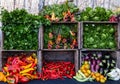 A colorful display of herbs and vegetables