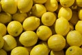 Colorful Display Of Lemons