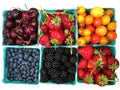 Colorful Display of Organic Cherry Tomatoes & Variety of Fresh Fruits at Farmer`s Market, in Bright Blue Boxes, White Background Royalty Free Stock Photo