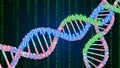 A colorful DNA double helix with binary code in the background Royalty Free Stock Photo