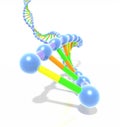 Colorful DNA helix strand