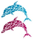 Colorful dolphin