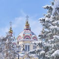 Domes of Ascension Cathedral among snow-covered fir trees in Panfilov Park, Almaty, Kazakhstan. Royalty Free Stock Photo