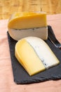 Colorful Double Dutch cheese, hard cheese made from cow milk and goat milk with layer of black mold inside