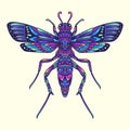 Colorful dragonfly beetle mandala vector illustration Royalty Free Stock Photo