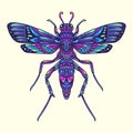 Colorful dragonfly beetle mandala vector illustration