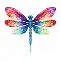 Delicate Rainbow Dragonfly: Geometric Art Inspired By Georgia O\'keeffe